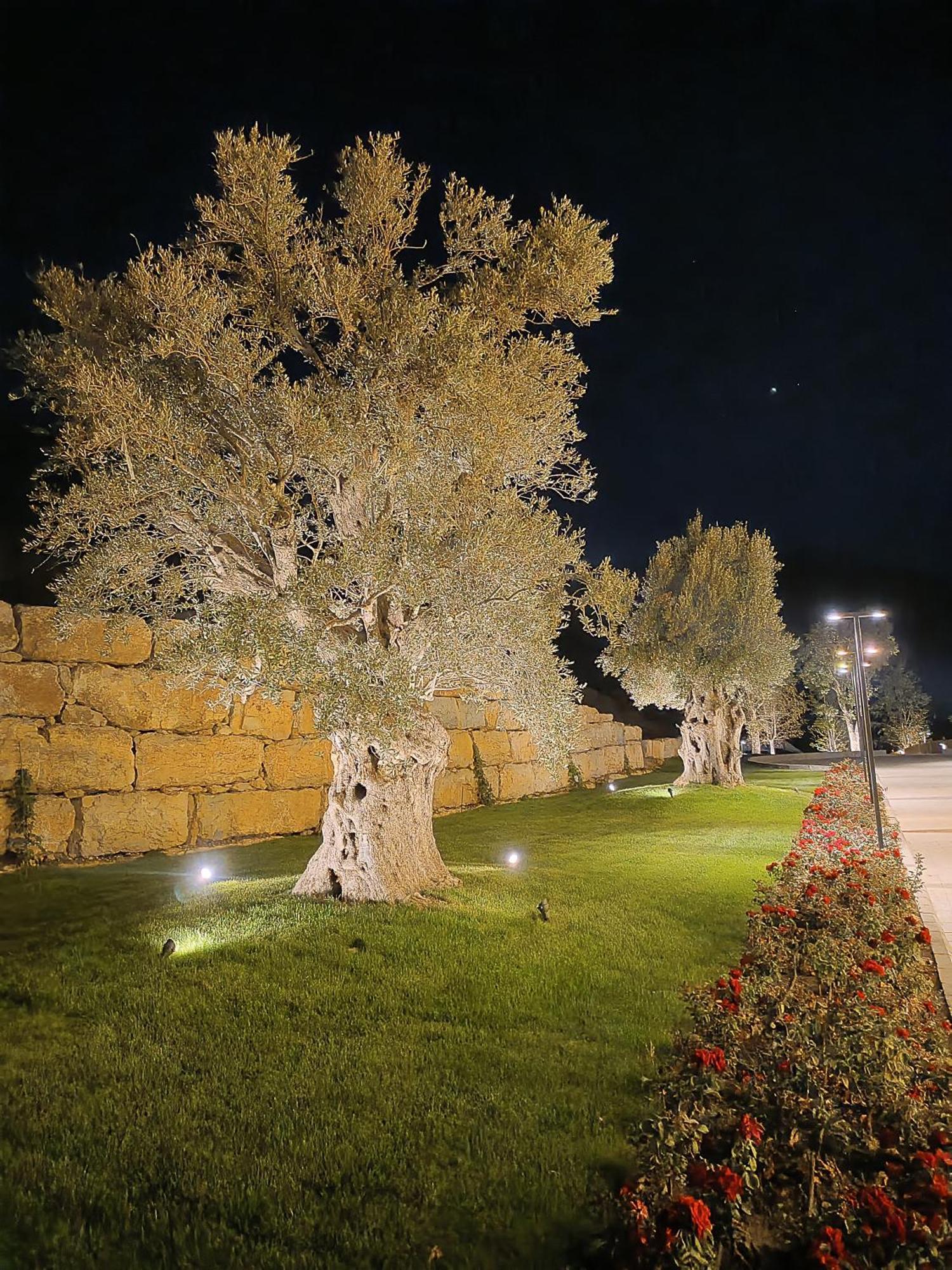 Cherrytales Ḩammānā المظهر الخارجي الصورة